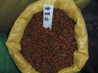 【咸陽市香椿種子價格】價格,廠家,其他種子、種苗-搜了網