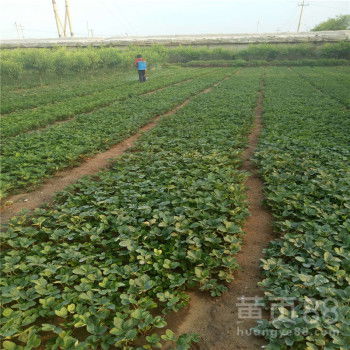 ?？? />
</a>
<span><a href=