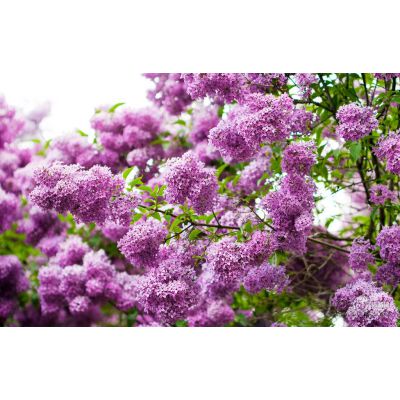 價(jià)格 廠家 中國供應(yīng)商